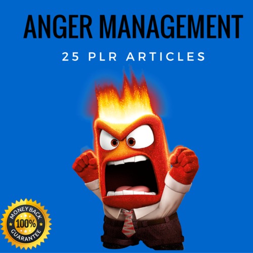 Product picture Anger Management Plr Private Label articles 2016