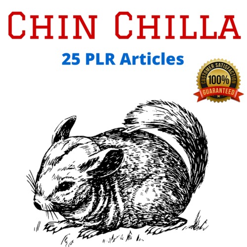 Product picture Chinchilla - High Quality PLR Private Label Rights Articles 